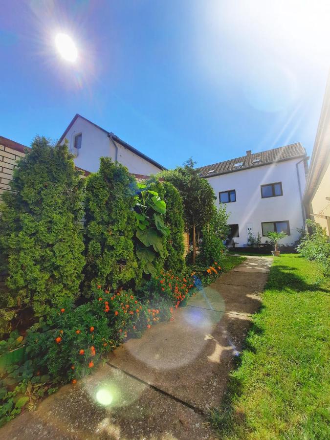 Apartmani Sunflower Сремски-Карловци Экстерьер фото